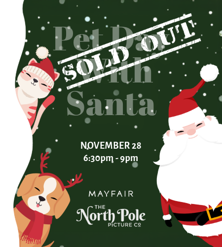Pet Photo With Santa
